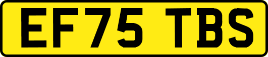EF75TBS