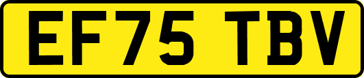 EF75TBV