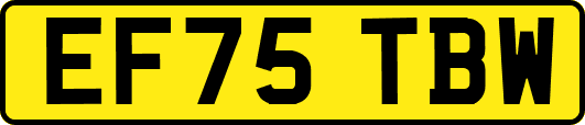 EF75TBW