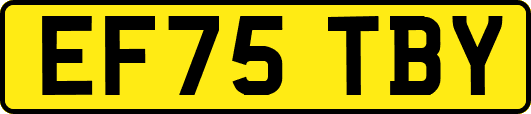 EF75TBY