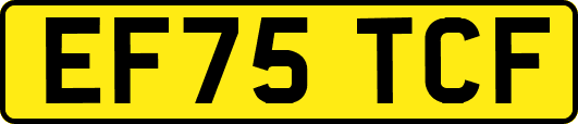 EF75TCF