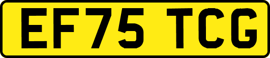 EF75TCG