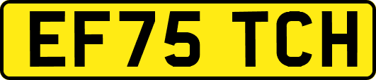 EF75TCH
