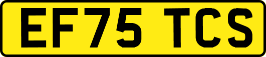 EF75TCS
