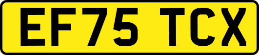 EF75TCX