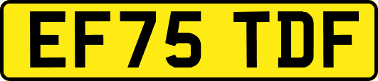 EF75TDF