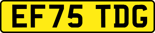 EF75TDG