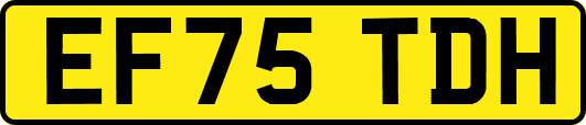 EF75TDH