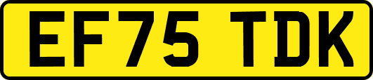 EF75TDK