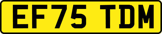 EF75TDM