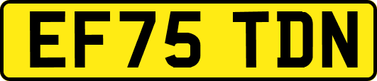 EF75TDN