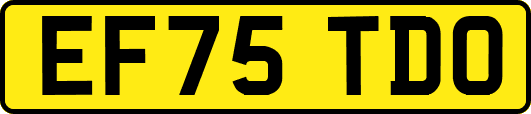 EF75TDO