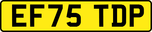 EF75TDP