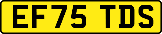 EF75TDS