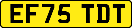 EF75TDT