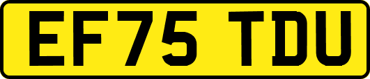 EF75TDU