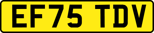 EF75TDV
