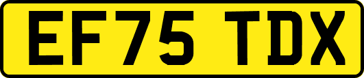 EF75TDX