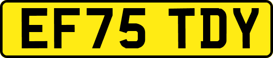 EF75TDY