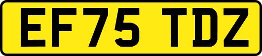 EF75TDZ