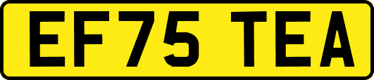 EF75TEA
