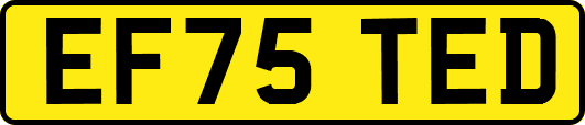 EF75TED