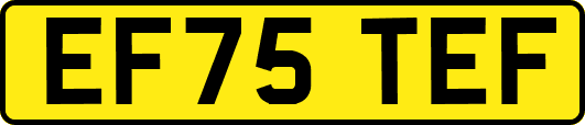 EF75TEF