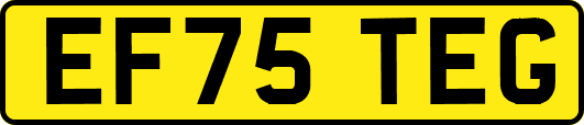 EF75TEG