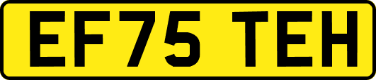 EF75TEH