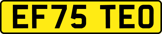 EF75TEO
