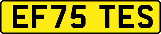 EF75TES