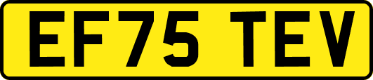EF75TEV
