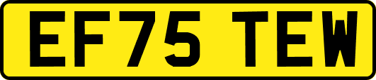 EF75TEW