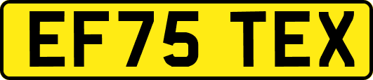 EF75TEX
