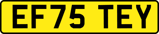 EF75TEY
