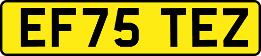 EF75TEZ