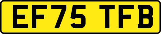 EF75TFB