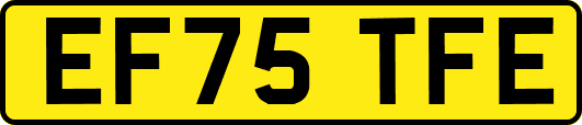 EF75TFE