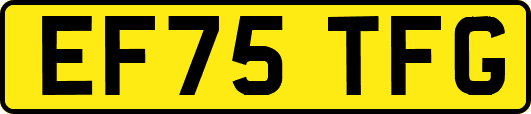 EF75TFG