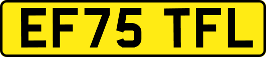 EF75TFL