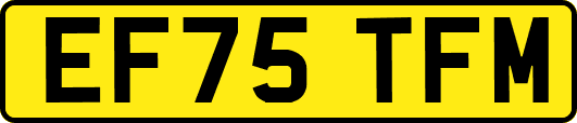EF75TFM