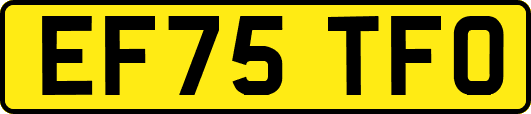 EF75TFO