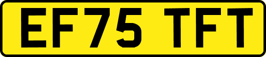 EF75TFT