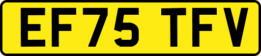 EF75TFV
