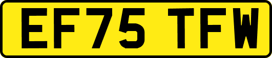 EF75TFW