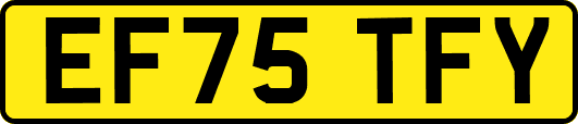 EF75TFY