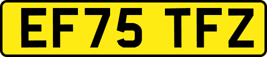 EF75TFZ