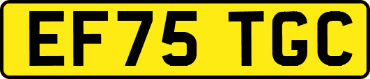 EF75TGC