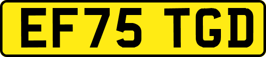 EF75TGD