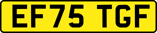 EF75TGF